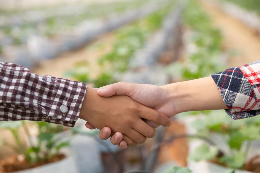 feiras agrícolas