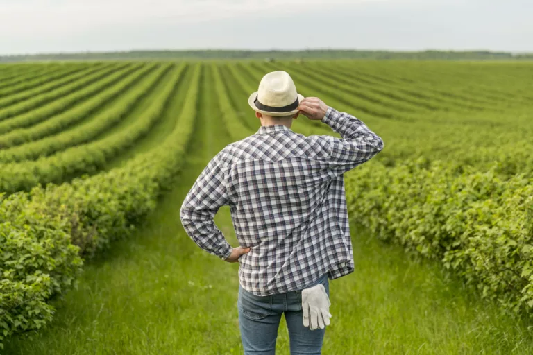 tendências marketing agro