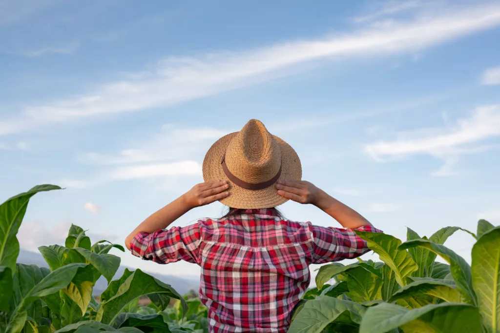 tendências marketing agro